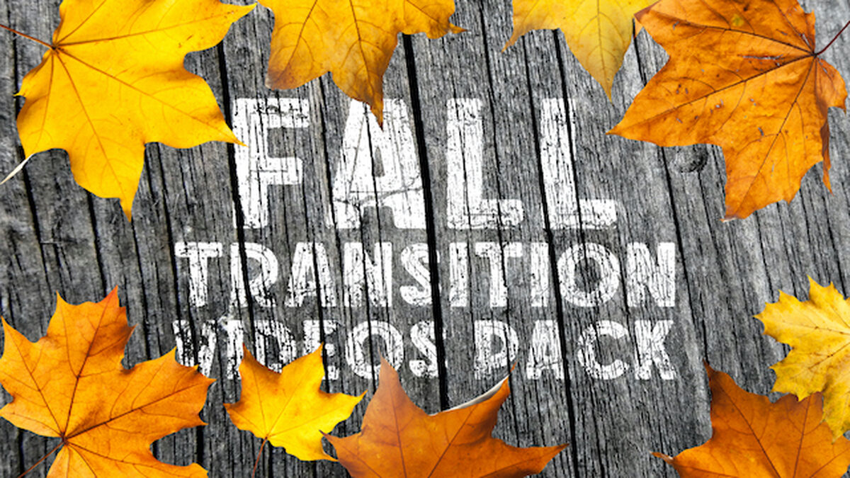 Fall Themed Countdown and Transition Videos Pack image number 0
